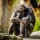 Fototapetai Gorila sėdinti ant žemės